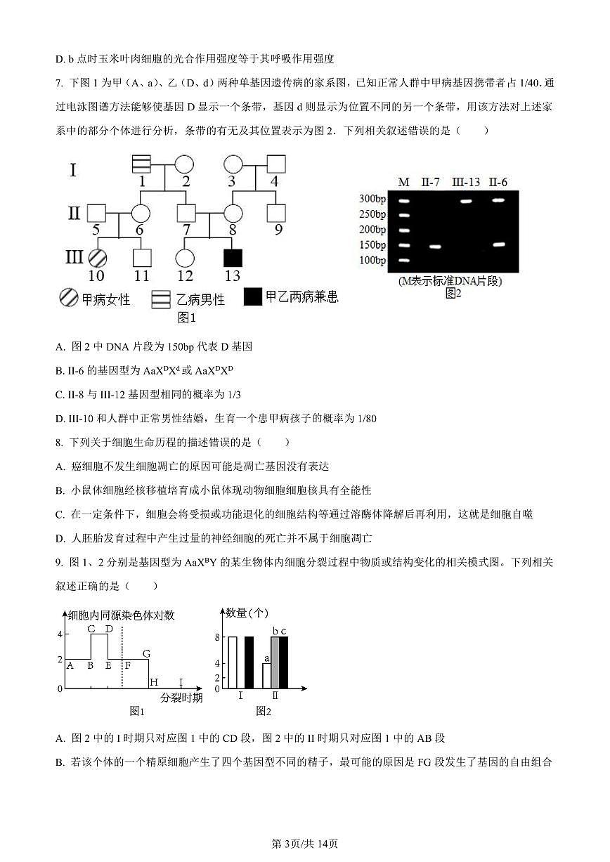 山东省高中名校2024届高三上学期12月统一调研考试生物试卷(含答案)第3页