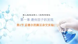 人教版（2019）高中生物必修二第1章遺傳因子的發(fā)現(xiàn)1.2《孟德爾的雜交實(shí)驗(yàn)》（二）課件