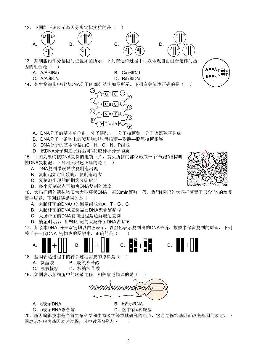 2025北京交大附中高一(下)期中真题生物试卷第2页