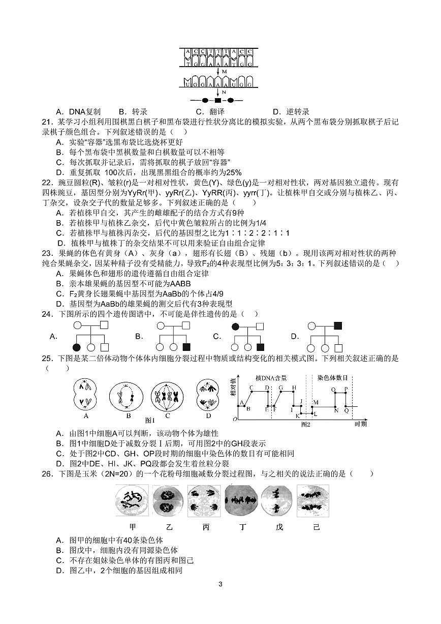 2025北京交大附中高一(下)期中真题生物试卷第3页