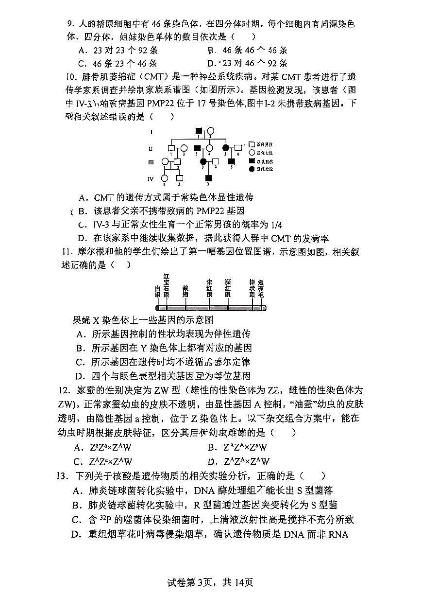 2025北京十五中高一(下)期中真题生物(合格考)试卷第3页