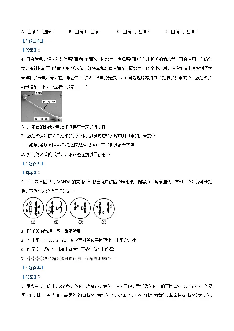 2022届湖南省长沙市雅礼中学高三下学期一模考试+生物试题 含答案第2页