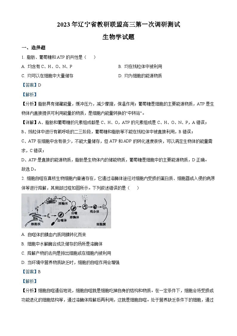 2023届辽宁省教研联盟高三第一次调研测试(一模)生物试题(解析版)第1页
