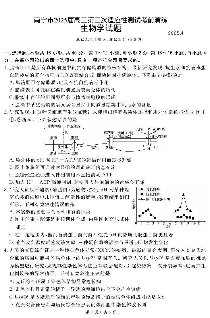 广西南宁市2025届高三下学期4月三模试题 生物 PDF版含解析第1页