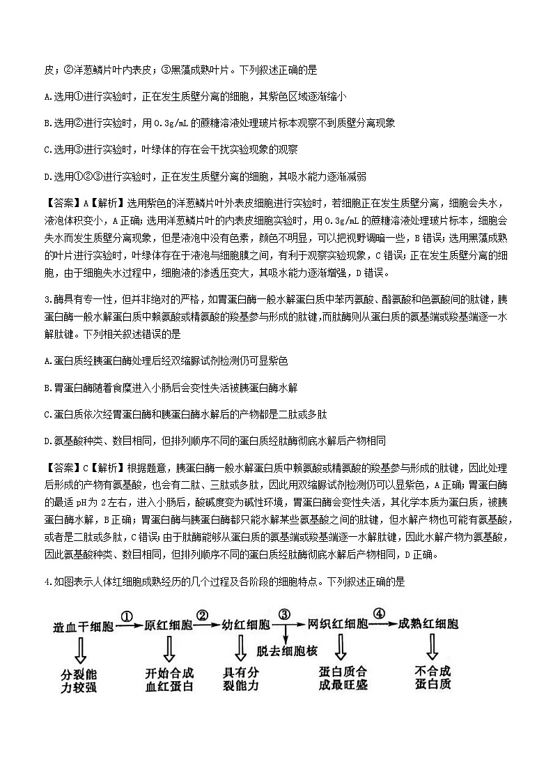 2022届山东省聊城市高三普通高中学业水平等级考试模拟(一模)生物试题 附答案第2页