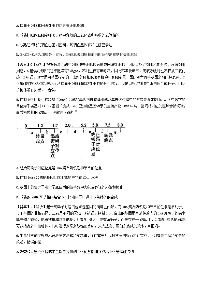 2022届山东省聊城市高三普通高中学业水平等级考试模拟(一模)生物试题 附答案第3页