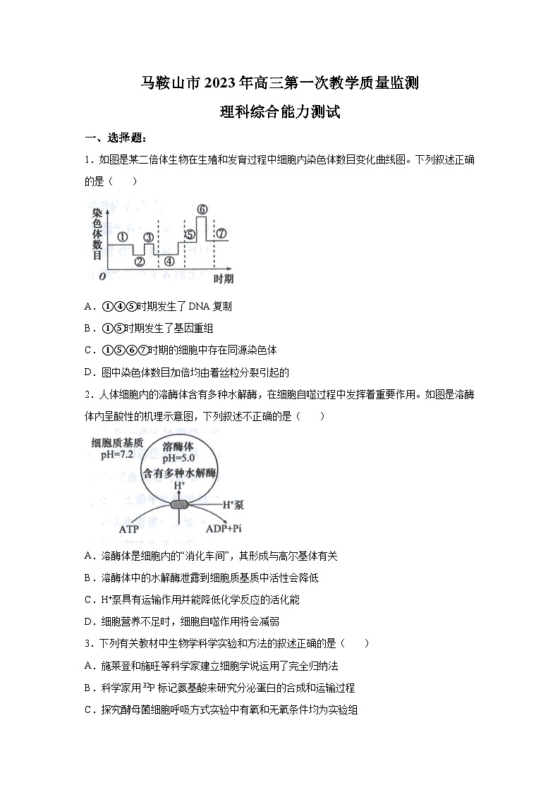 2023届安徽省马鞍山市高三第一次教学质量监测(一模)理综生物试题+含解析第1页