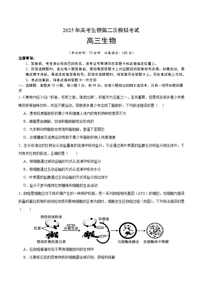 2025年高考第二次模拟考试卷:生物(河南卷)(考试版)第1页