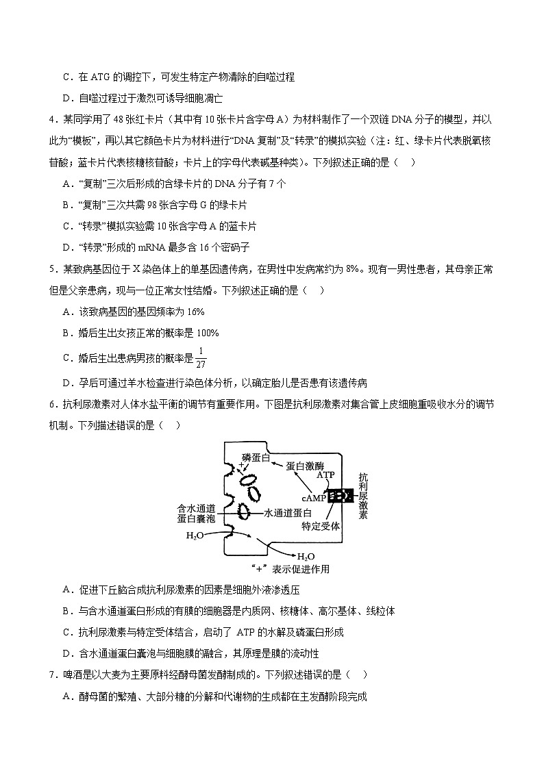 2025年高考第二次模拟考试卷:生物(河南卷)(考试版)第2页