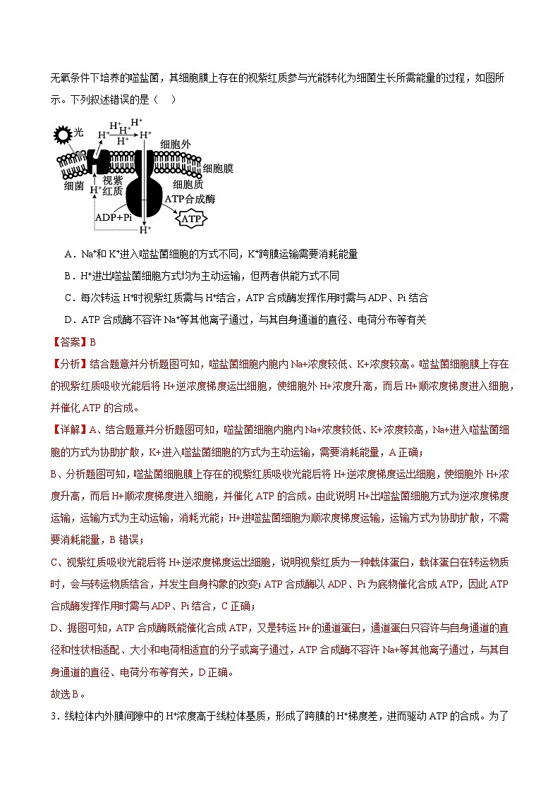 2025年高考第二次模拟考试卷:生物(安徽卷)(解析版)第2页