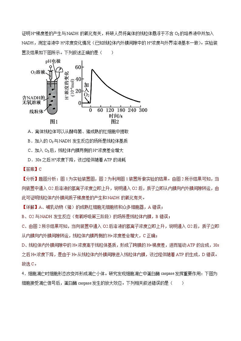 2025年高考第二次模拟考试卷:生物(安徽卷)(解析版)第3页