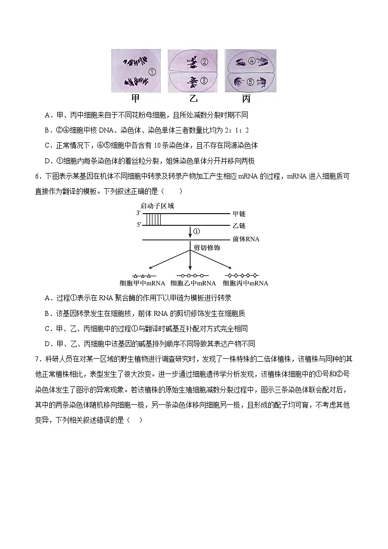 2025年高考第二次模拟考试卷:生物(安徽卷)(考试版)第3页