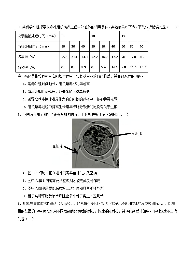 2025年高考第二次模拟考试卷:生物(北京卷)(考试版)第2页