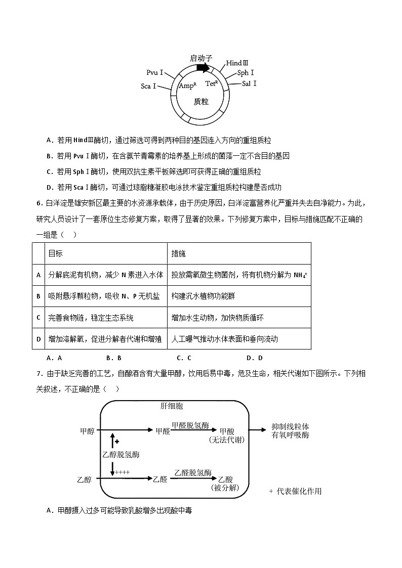 2025年高考第二次模拟考试卷:生物(北京卷)(考试版)第3页