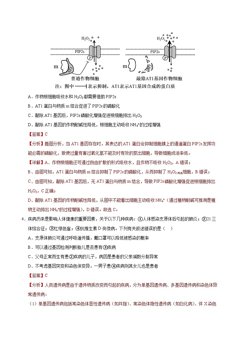 2025年高考第二次模拟考试卷:生物(海南卷)(解析版)第3页
