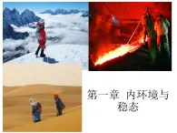1.1細胞生活的環(huán)境（第一課時）課件 人教版高中生物選擇性必修1