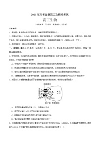 2025年高考第二次模拟考试卷:生物(江苏卷01)(考试版)