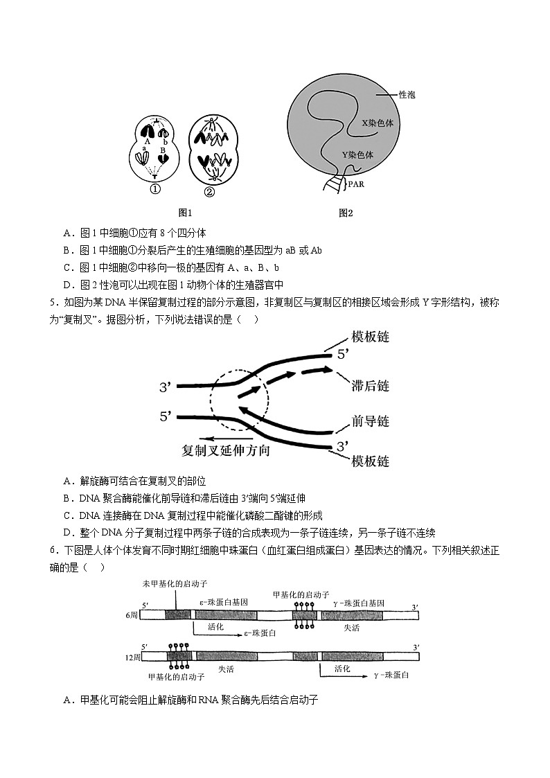 2025年高考第二次模拟考试卷:生物(江苏卷02)(考试版)第2页