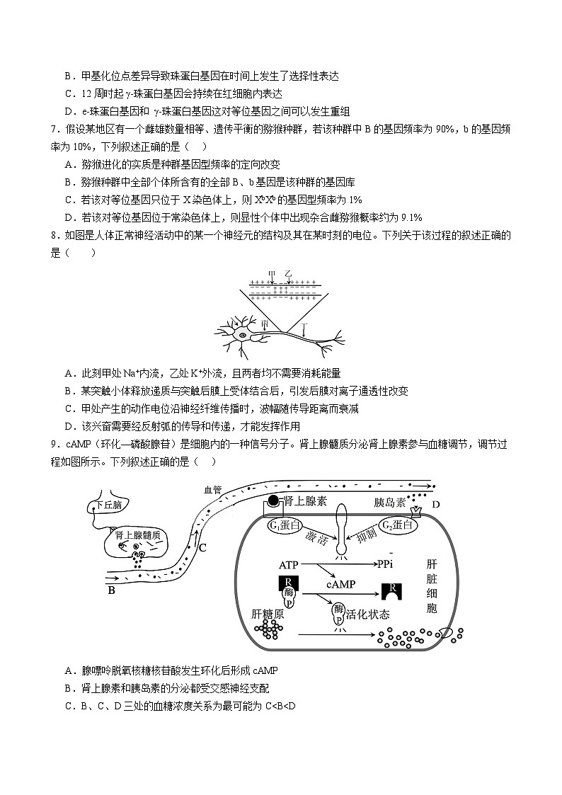 2025年高考第二次模拟考试卷:生物(江苏卷02)(考试版)第3页