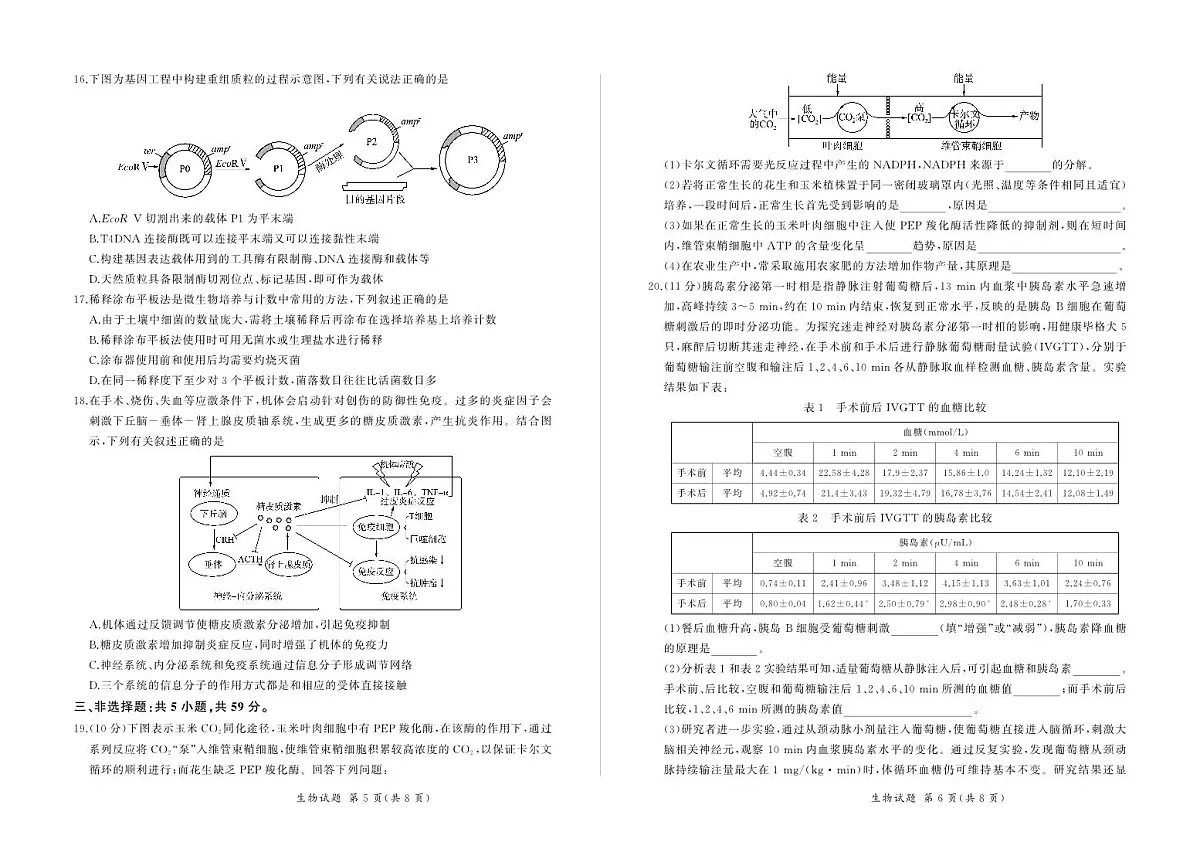 百师联盟2024届高三一轮复习(五)河北卷生物试卷(含答案)第3页