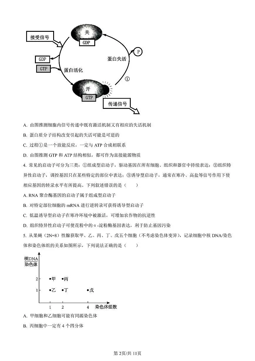 重庆市一中2023-2024学年高三12月月考生物试卷(含答案)第2页