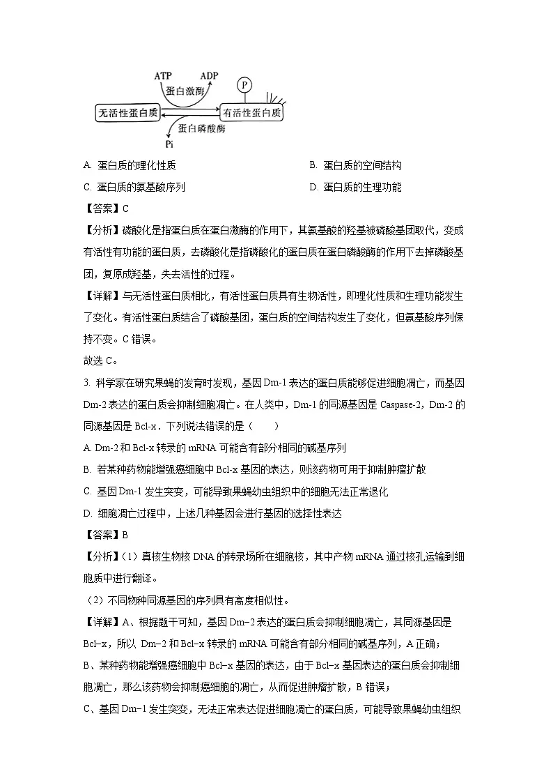 贵州省部分学校2024-2025学年度高三第二次联合模拟考试生物试卷(解析版)第2页