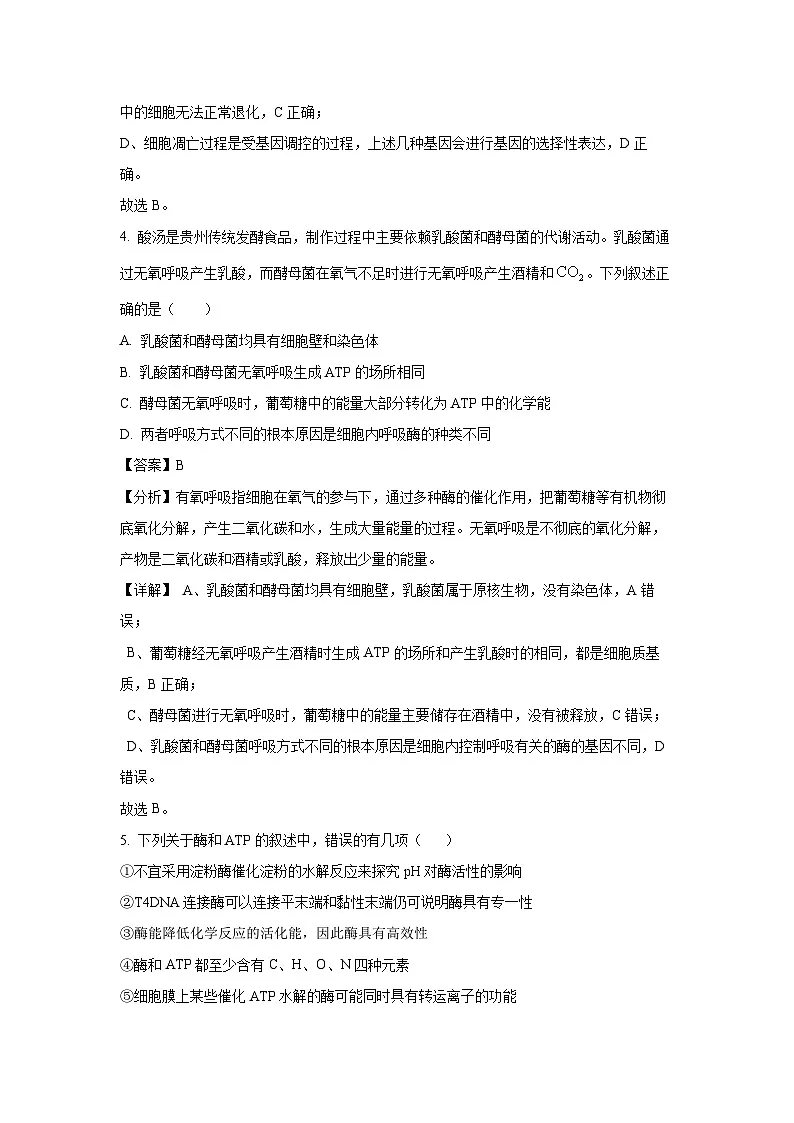 贵州省部分学校2024-2025学年度高三第二次联合模拟考试生物试卷(解析版)第3页