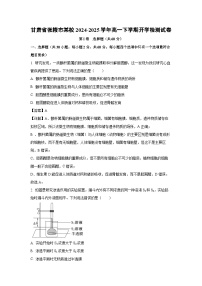 甘肃省张掖市某校2024-2025学年高一下学期开学检测生物试卷（解析版）