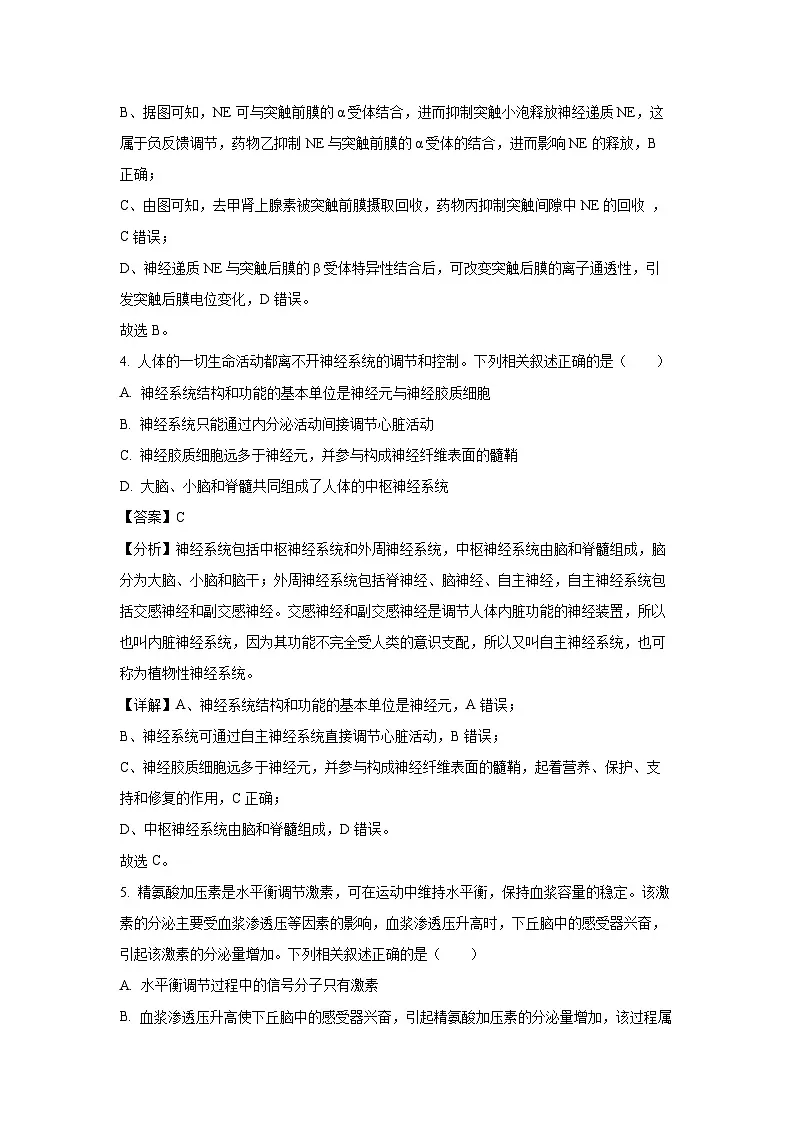 湖南省永州市2023-2024学年高二上学期期末质量监测生物试卷(解析版)第3页