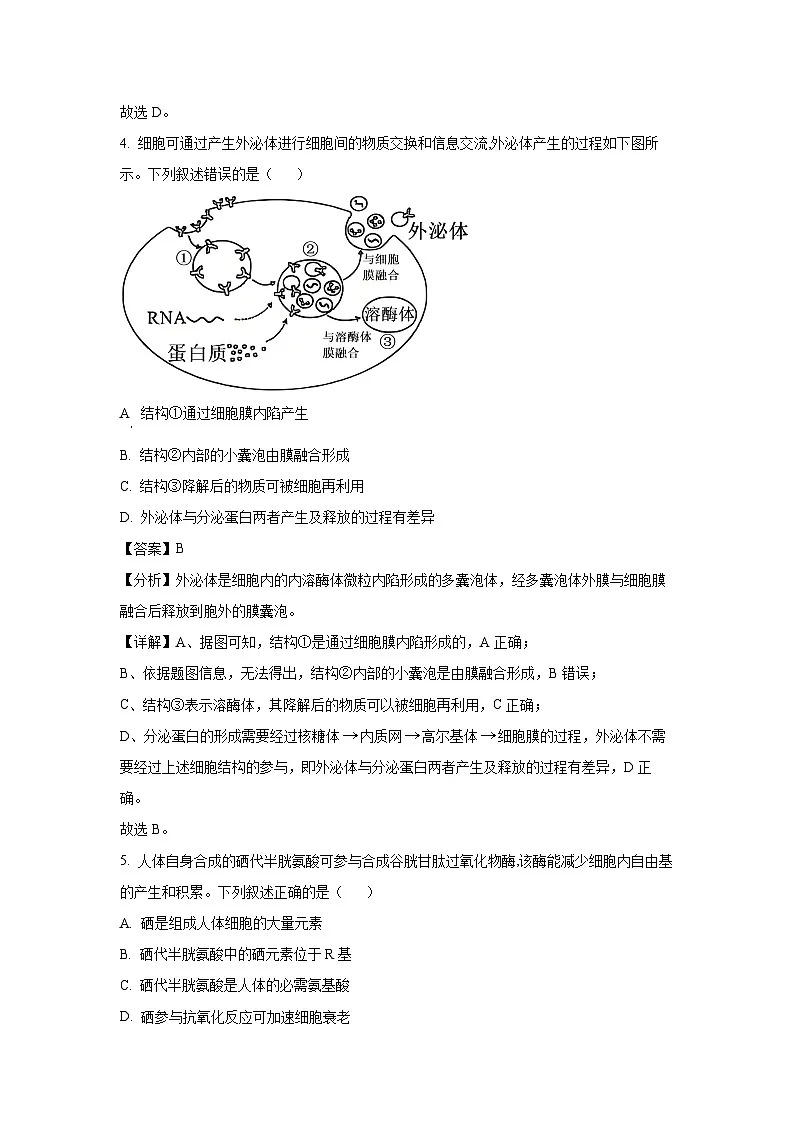湖北省武汉市2025届高三2月调研考试生物试卷(解析版)第3页