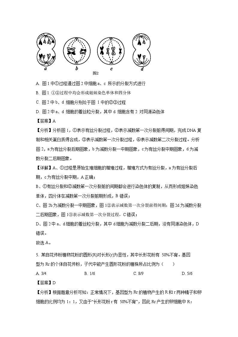 河北省沧州市2023-2024学年高一下学期7月期末教学质量监测生物试卷(解析版)第3页