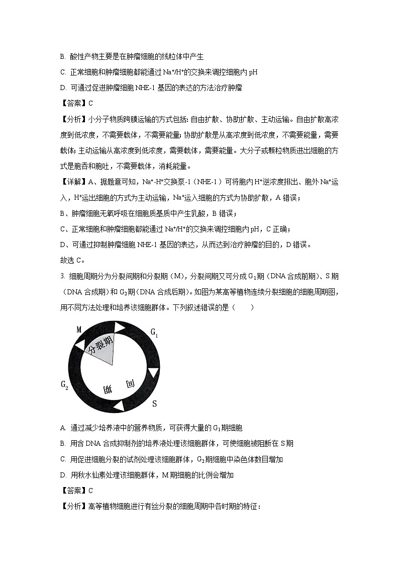 江西省吉安市2024-2025学年高三上学期期末教学质量检测生物试卷(解析版)第2页