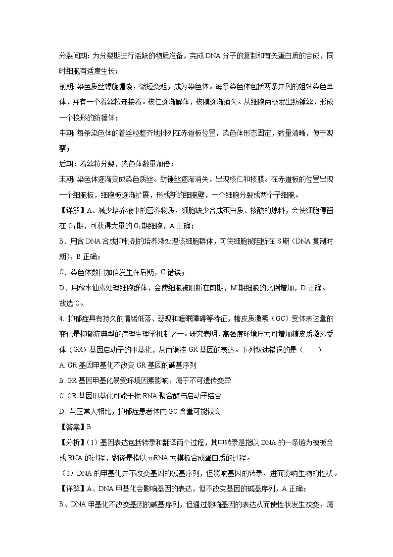 江西省吉安市2024-2025学年高三上学期期末教学质量检测生物试卷(解析版)第3页
