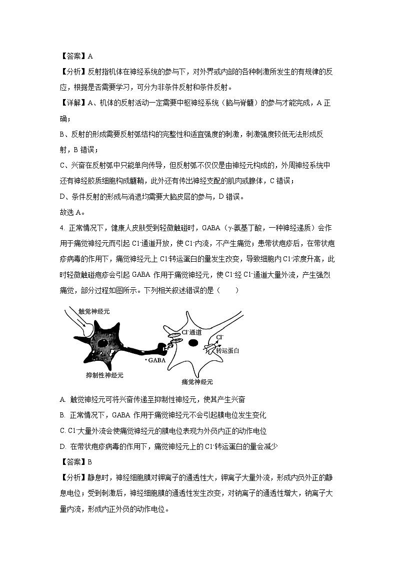 安徽省阜陽(yáng)市太和縣部分學(xué)校2024-2025學(xué)年高二下學(xué)期開(kāi)學(xué)考試生物試卷（解析版）第3頁(yè)