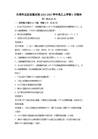 天津市五区县重点校2024-2025学年高三上学期1月期末生物试卷(解析版)