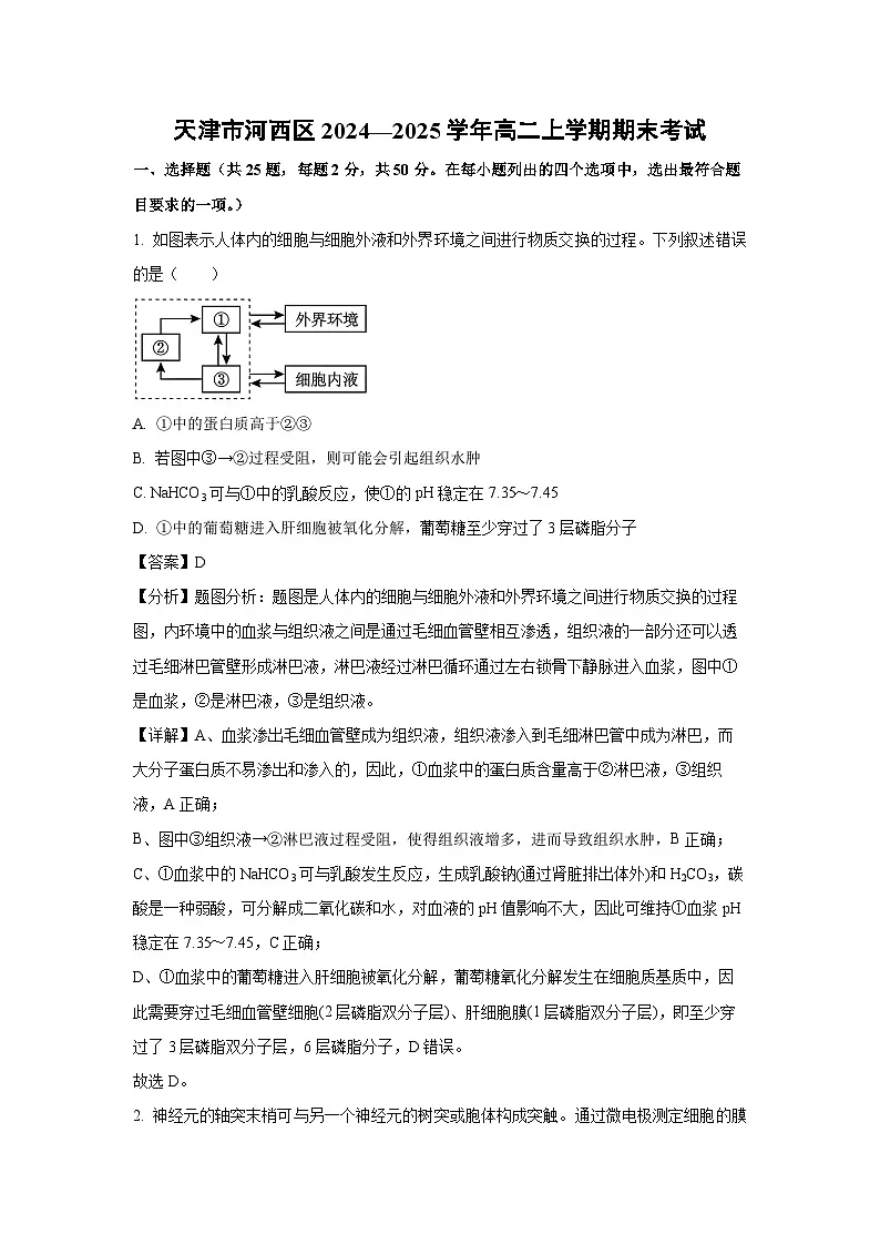 天津市河西区2024—2025学年高二上学期期末考试生物试卷(解析版)第1页
