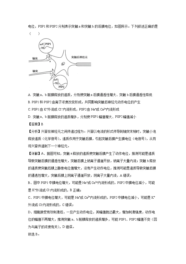 天津市河西区2024—2025学年高二上学期期末考试生物试卷(解析版)第2页