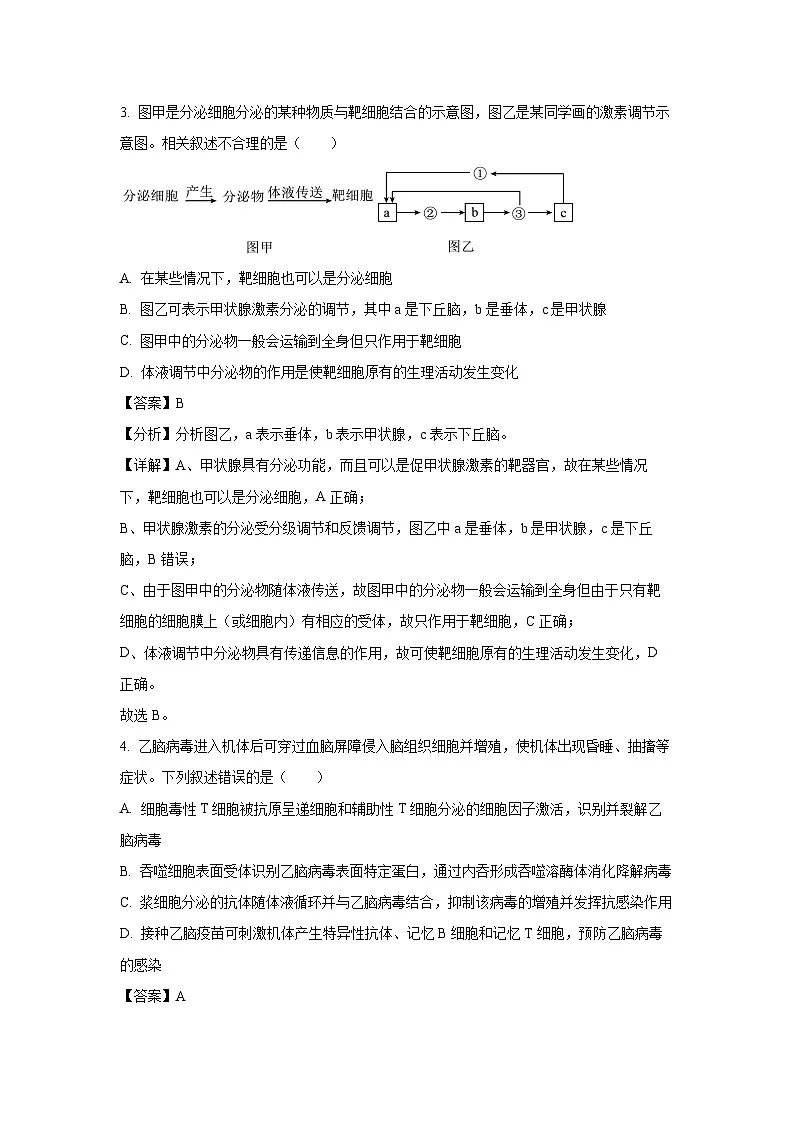 天津市河西区2024—2025学年高二上学期期末考试生物试卷(解析版)第3页