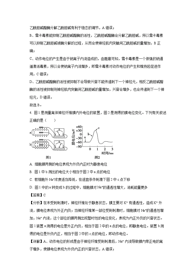 四川省宜宾市普通高中2024-2025学年高二上学期期末检测生物试卷(解析版)第3页