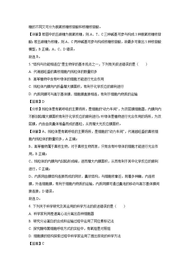 四川省自贡市第一中学2024-2025学年高一下学期开学考试生物试卷(解析版)第3页