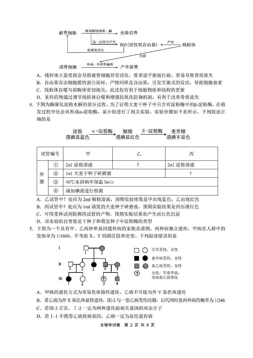 安徽省江南十校2025届高三3月联考 生物(含答案).pdf第2页