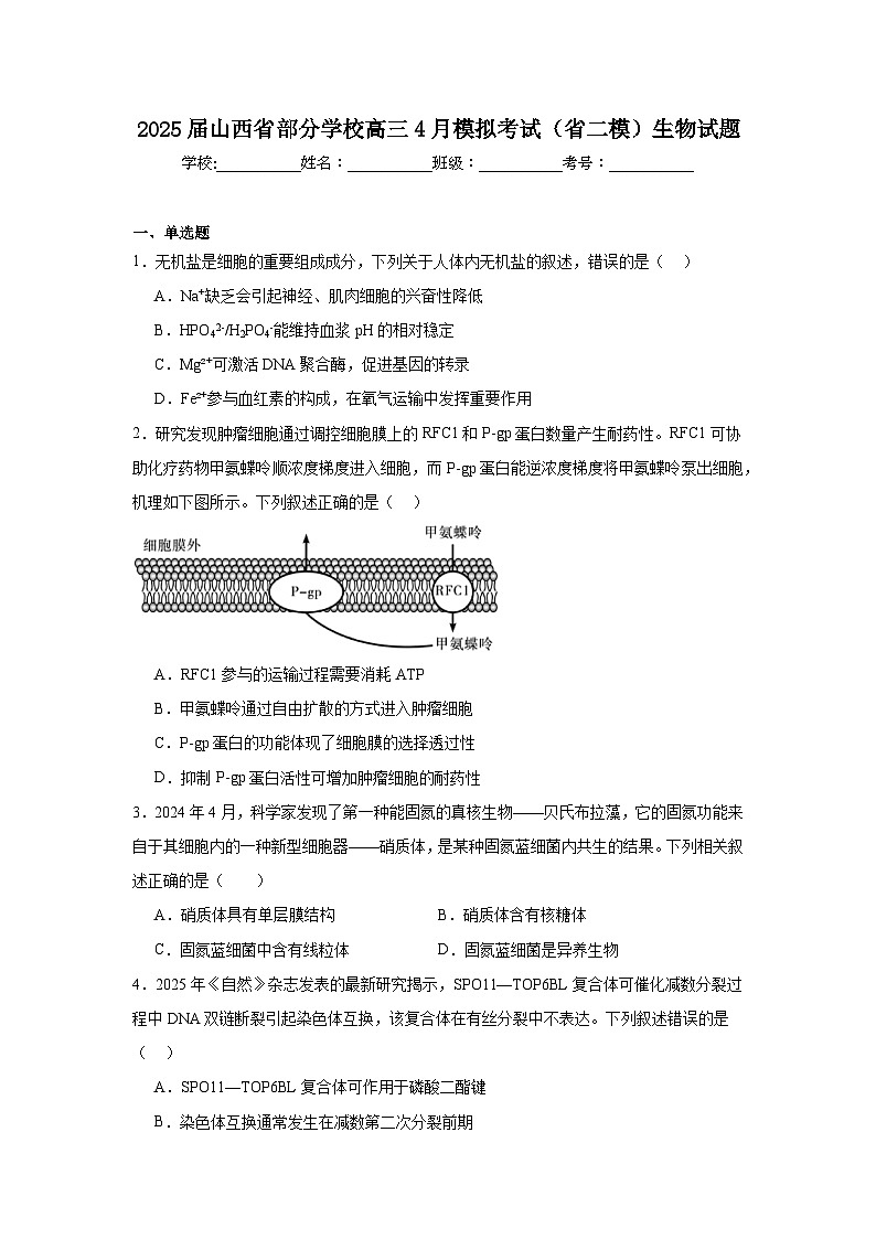 2025届山西省部分学校高三4月模拟考试(省二模)生物试题(无答案)第1页