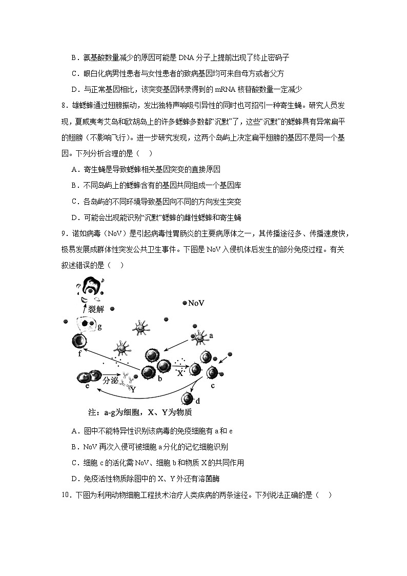 2025届山西省部分学校高三4月模拟考试(省二模)生物试题(无答案)第3页