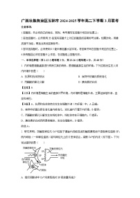 广西壮族自治区玉林市2024-2025学年高二下学期3月联考生物试卷（解析版）