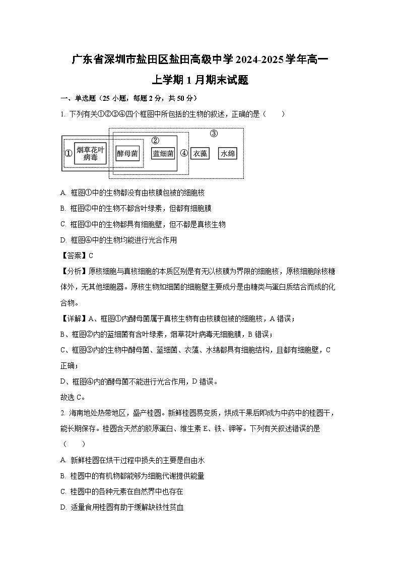 廣東省深圳市鹽田區(qū)鹽田高級中學(xué)2024-2025學(xué)年高一上學(xué)期1月期末生物試卷(解析版)第1頁