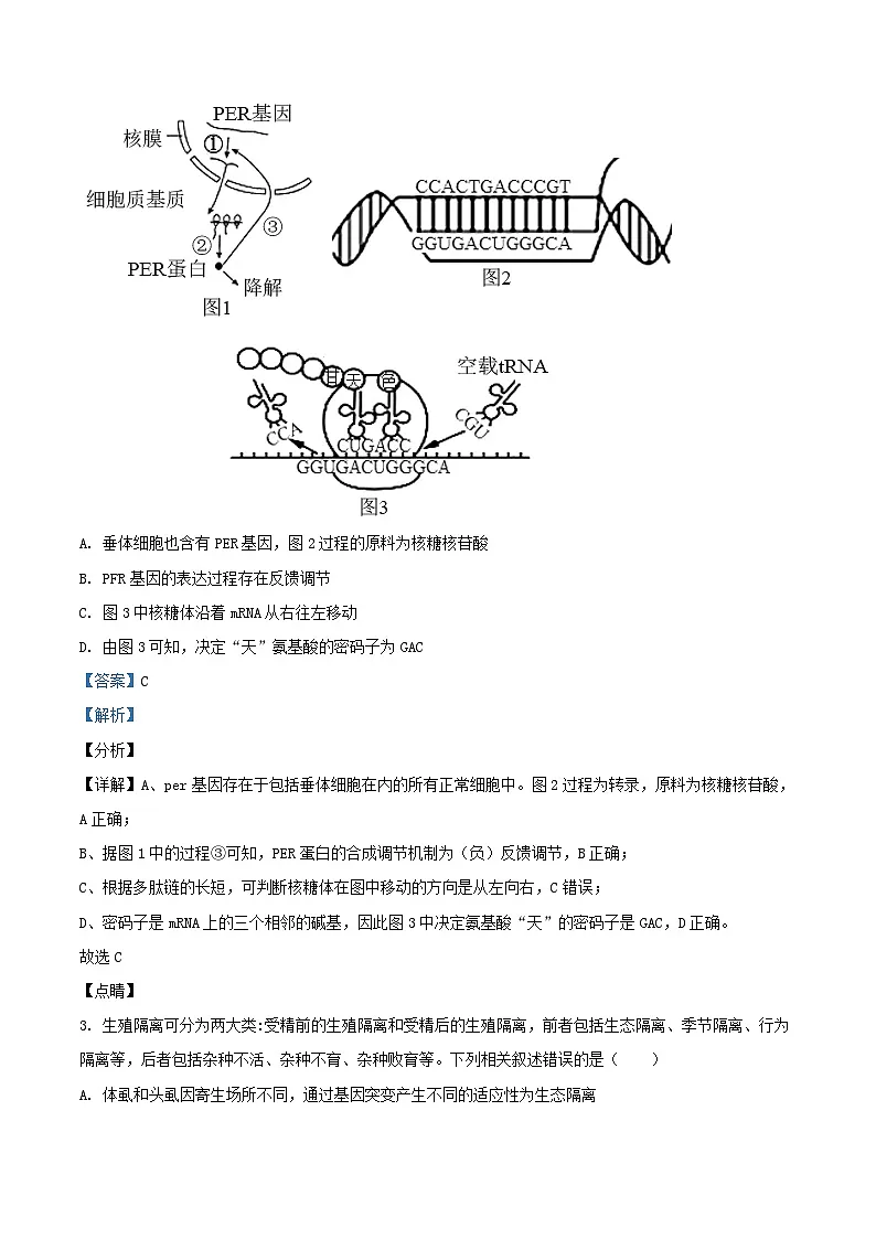 四川省成都市2023_2024学年高一生物下学期期末模拟试卷含解析第2页