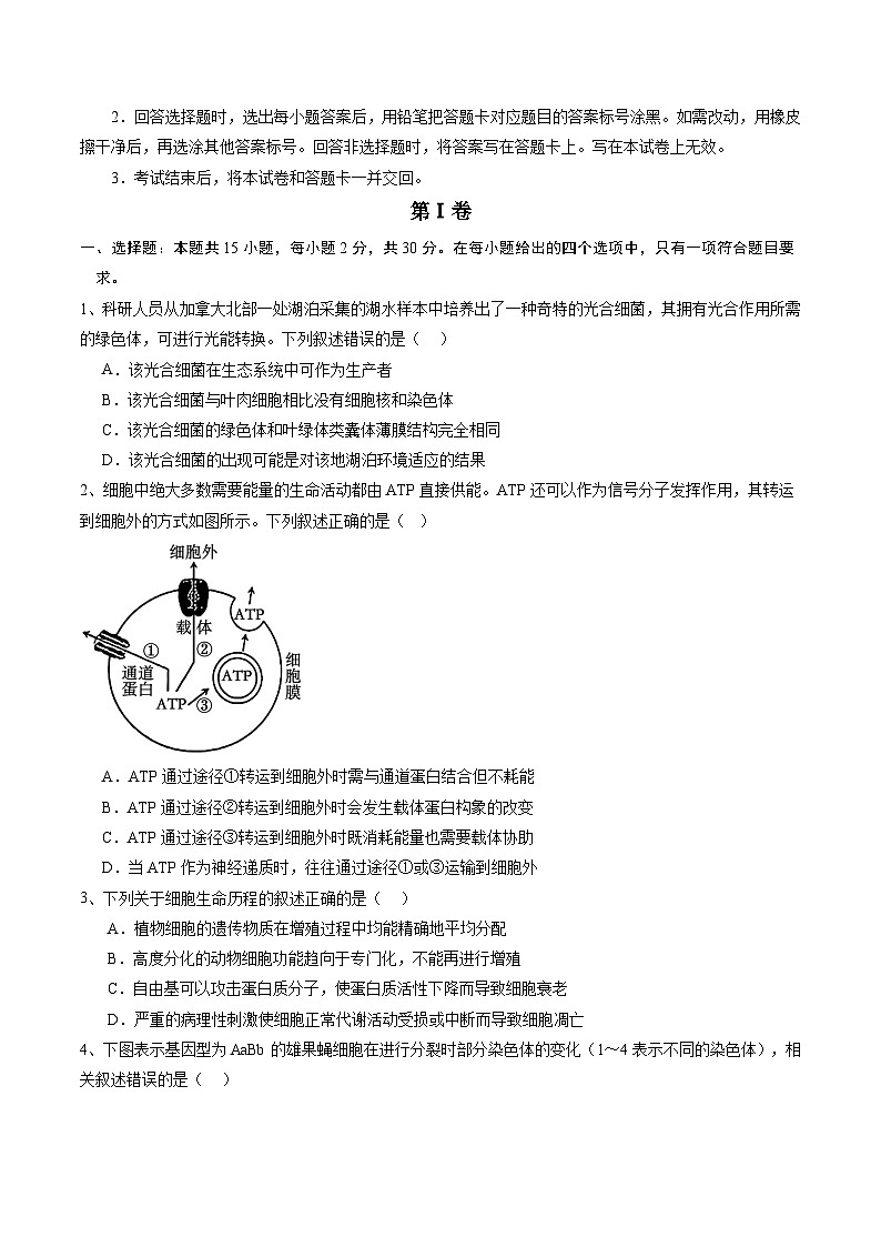 信息必刷卷04（江蘇專用）（原卷版）第2頁(yè)