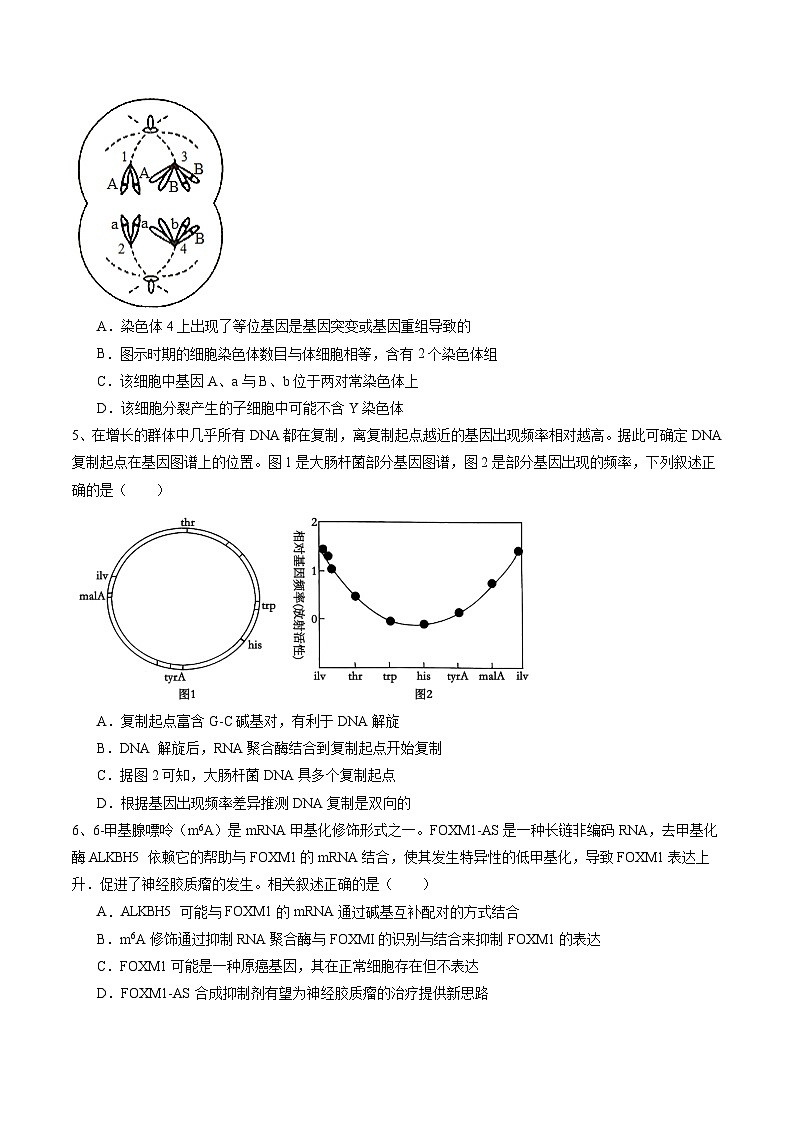 信息必刷卷04（江蘇專用）（原卷版）第3頁(yè)