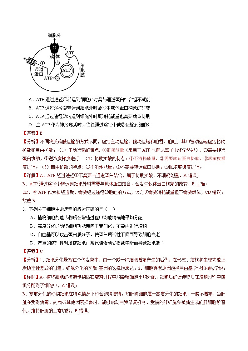 信息必刷卷04（江蘇專用）（解析版）第3頁(yè)
