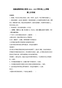 河南省青桐鸣大联考2024—2025学年高二上学期第二次考试生物试卷（解析版）